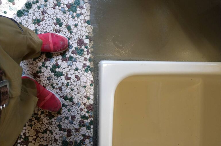 A8778E7F-B5D6-4266-BC4C-2FE9851807CC