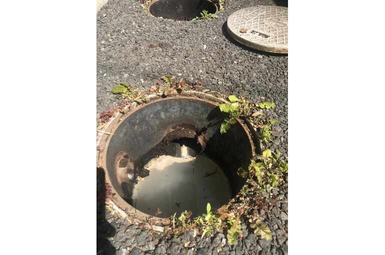 3110F79F-3337-4C33-B92E-B191D2AC54C8