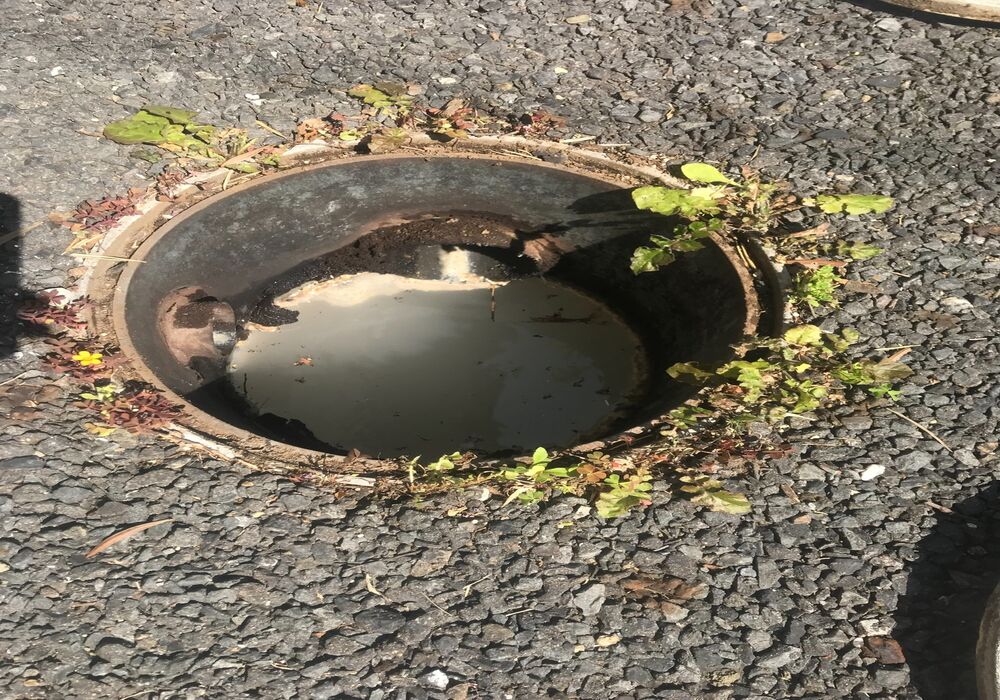 01c03f733dd563ad43ea8b23e10c0556a3484a58e1