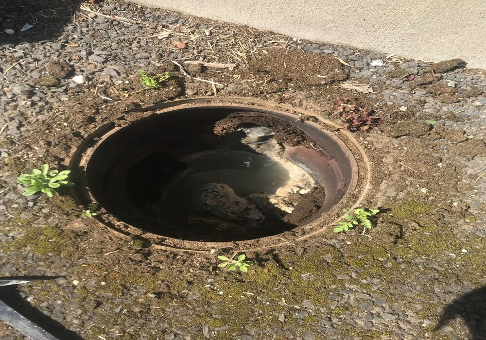 01d3b01abb26b646a76ca5d28b7da0cfcbdaeed169