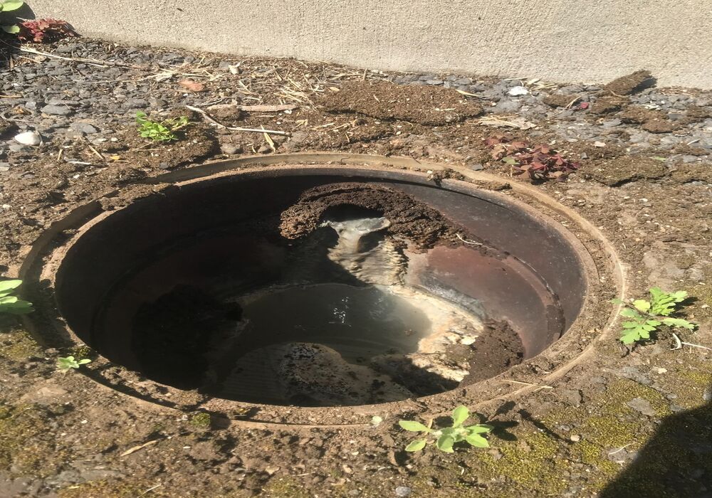 012477e9256f42fd827604b0e8ec131730d337a30e