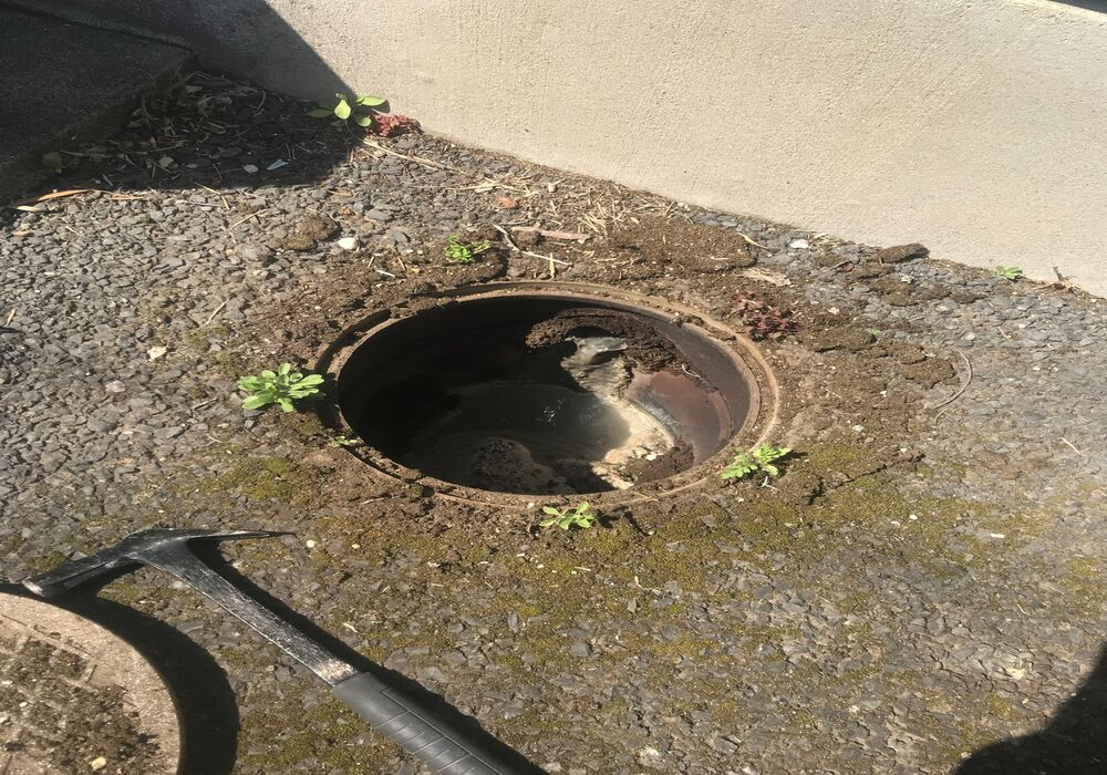 010f1ad67d327202ffc147616dba5ea275ce81bfab