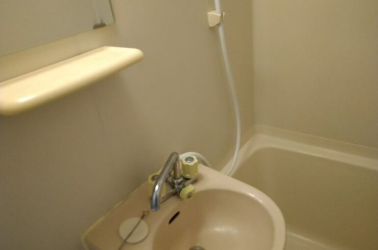 セカンドウィスタリアヒルズ211号_200606_0010