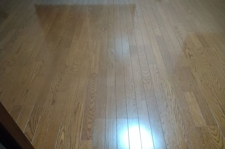 フローネ参宮橋201_200607_0018